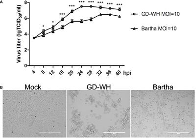 Metabolomics Exploration of Pseudorabies Virus Reprogramming Metabolic Profiles of PK-15 Cells to Enhance Viral Replication